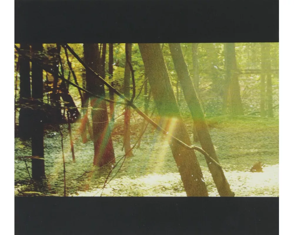Camp