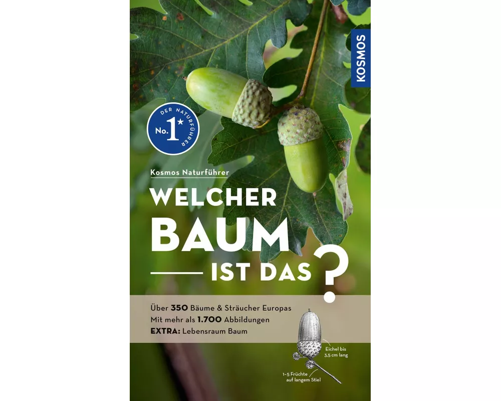 Welcher Baum ist das?
