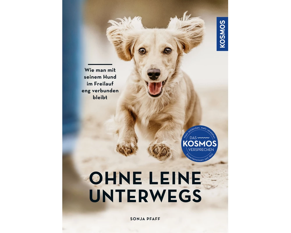 Ohne Leine unterwegs