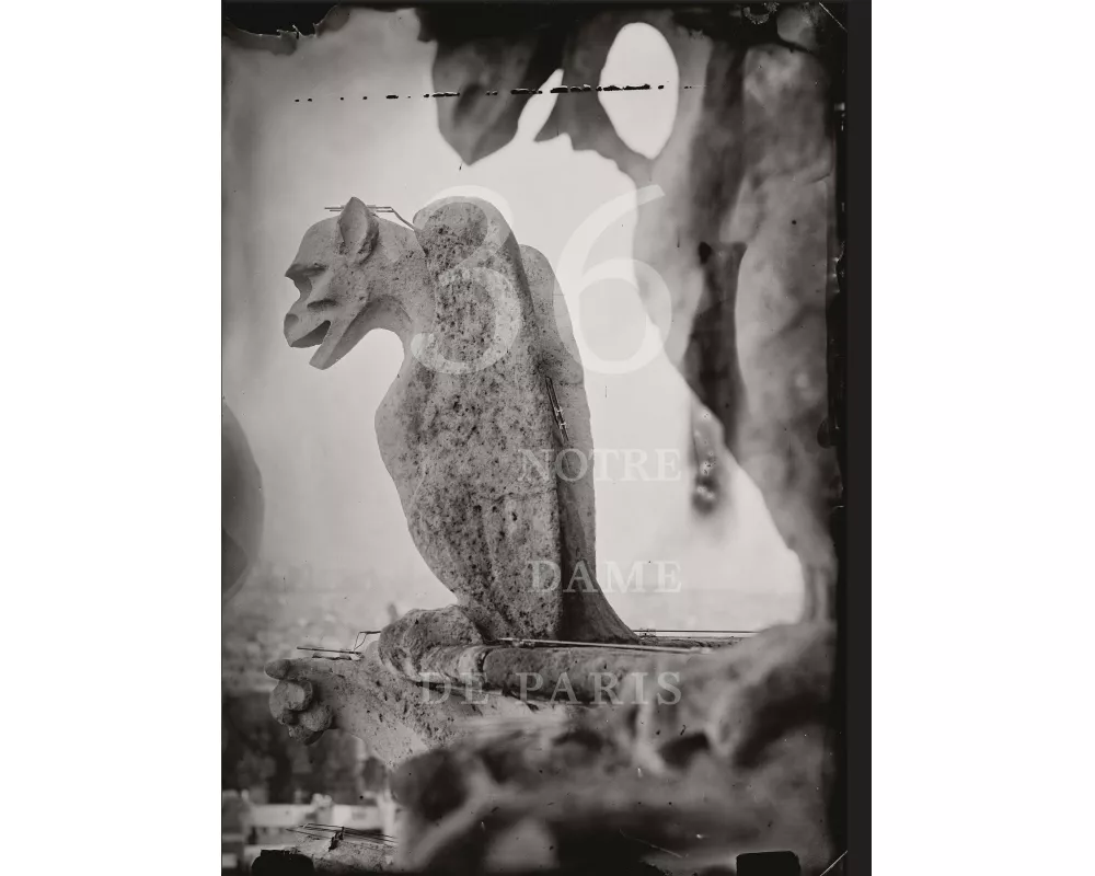 Tomas Van Houtryve: 36 Views of Notre Dame