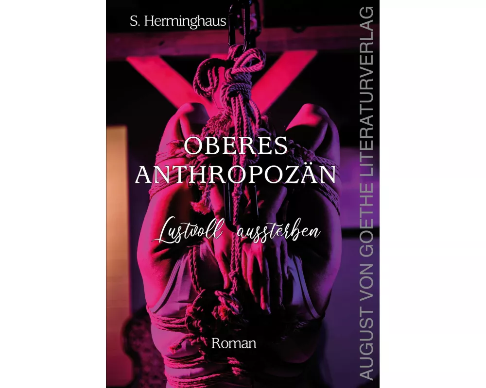 Oberes Anthropozän