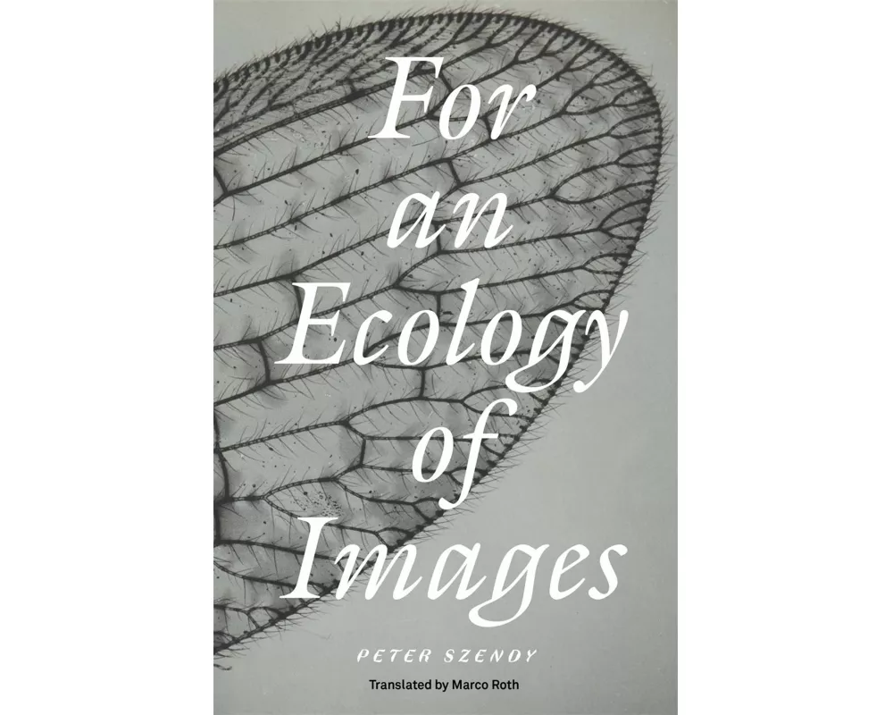 For an Ecology of Images