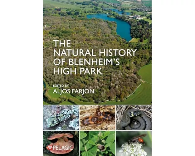 The Natural History of Blenheim's High Park