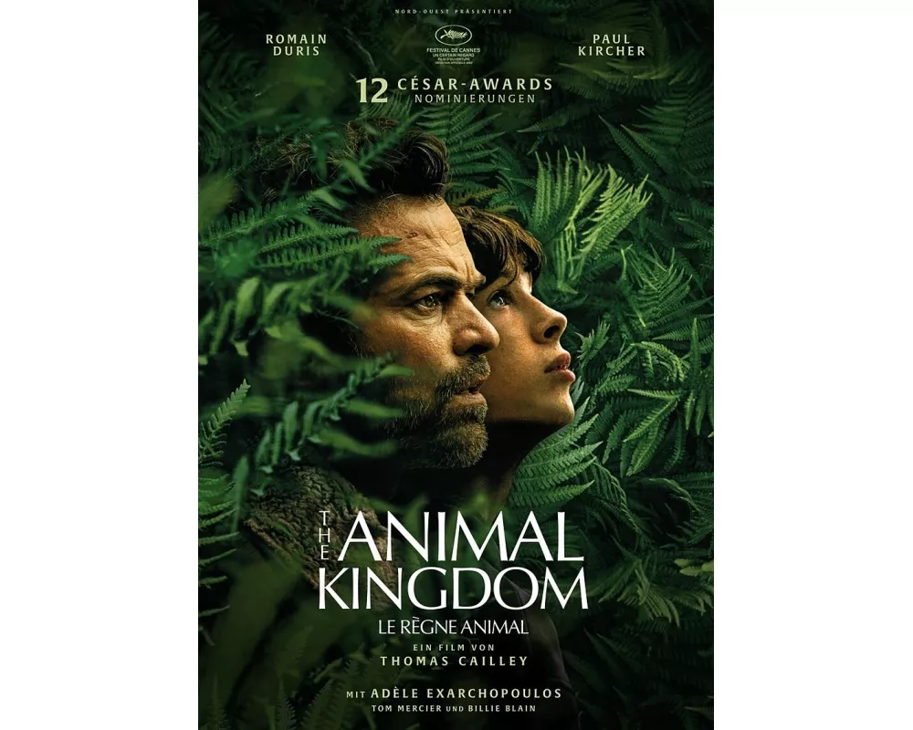 Animal Kingdom (DVD D)
