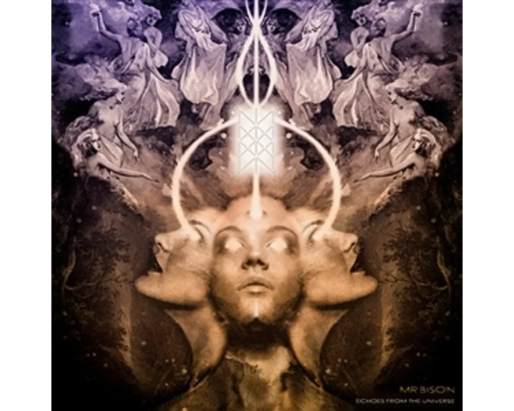 Echoes from the Universe