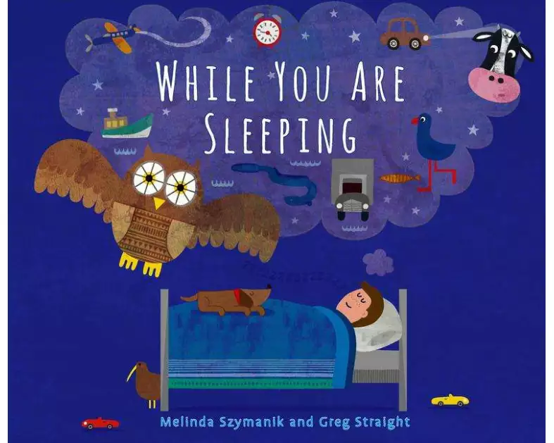 While You Are Sleeping