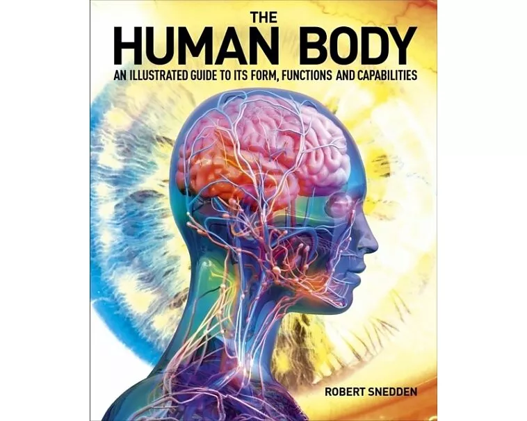 The Human Body
