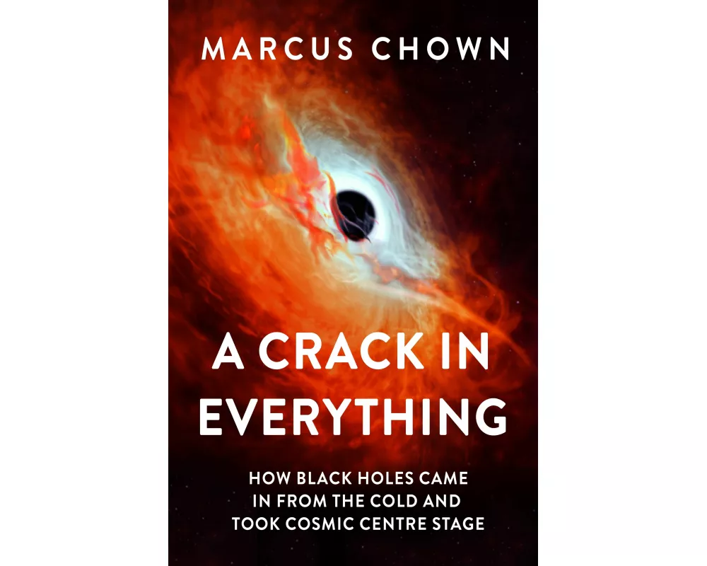 A Crack in Everything