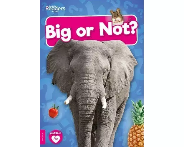 Big or Not?
