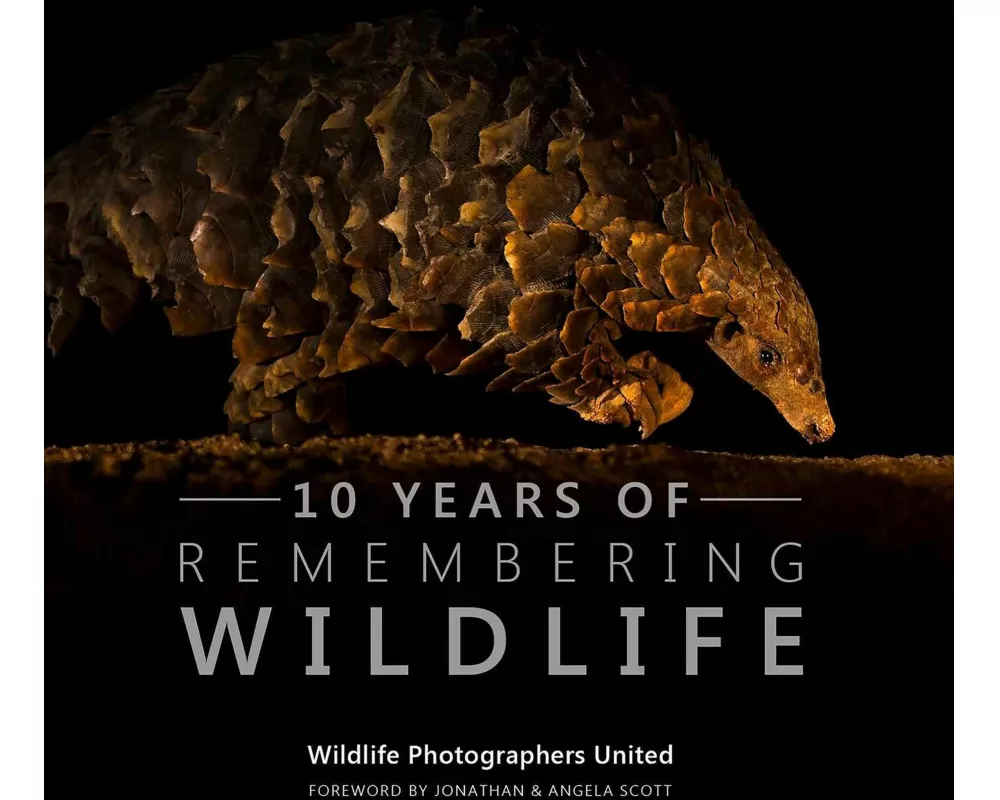 10 Years of Remembering Wildlife