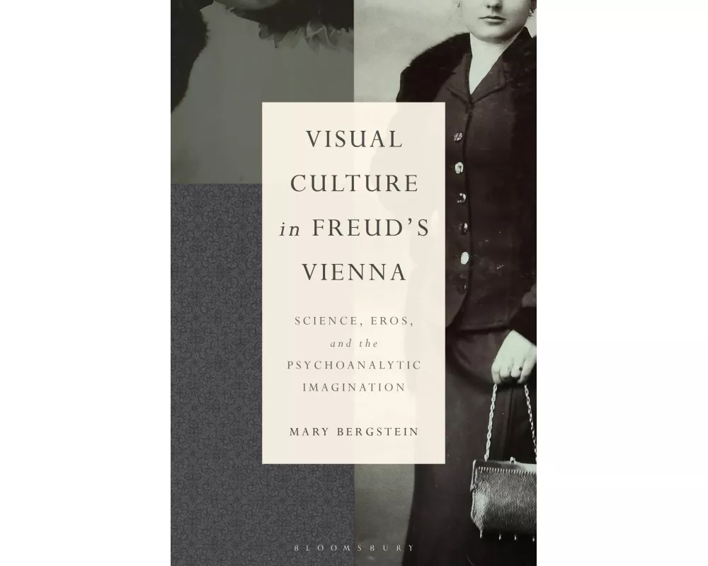 Visual Culture in Freud's Vienna