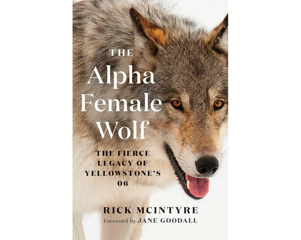 The Alpha Female Wolf