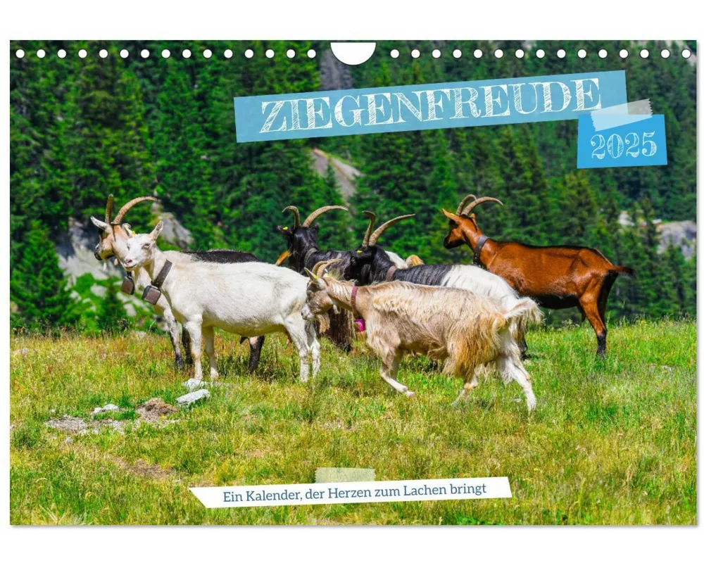 Ziegenfreude (Wandkalender 2025 DIN A4 quer), CALVENDO Monatskalender