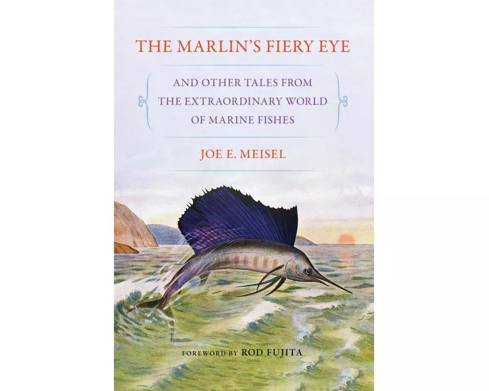 The Marlin's Fiery Eye and Other Tales from the Extraordinary World of Marine Fishes