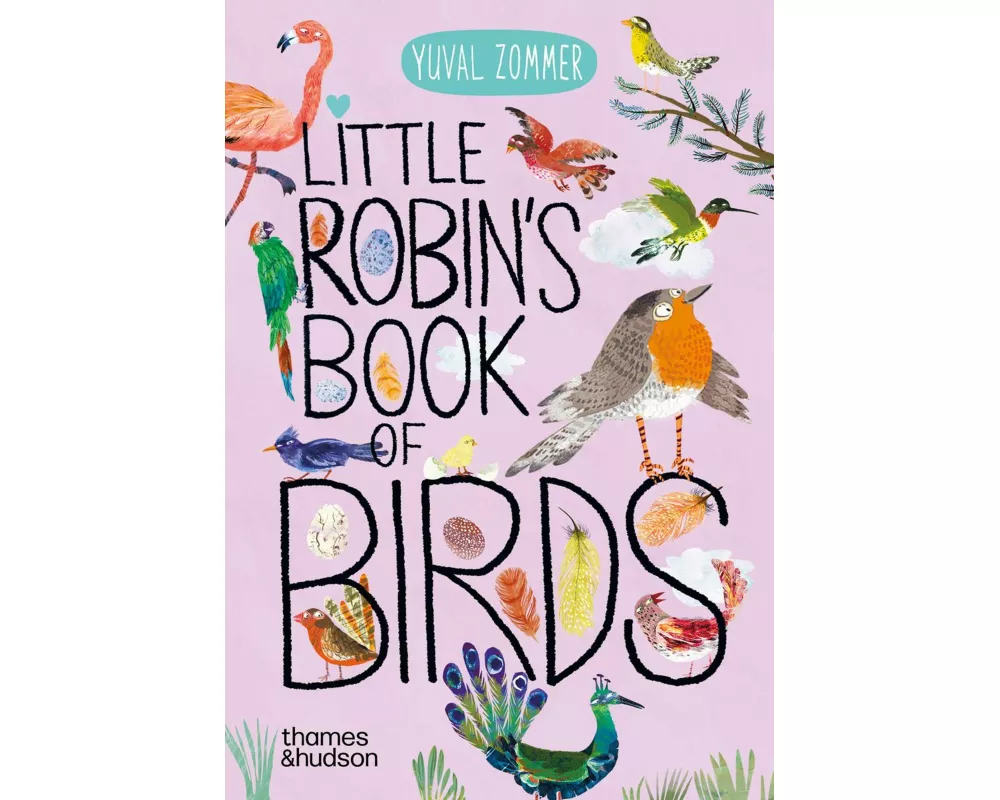 Little Robin's Book of Birds