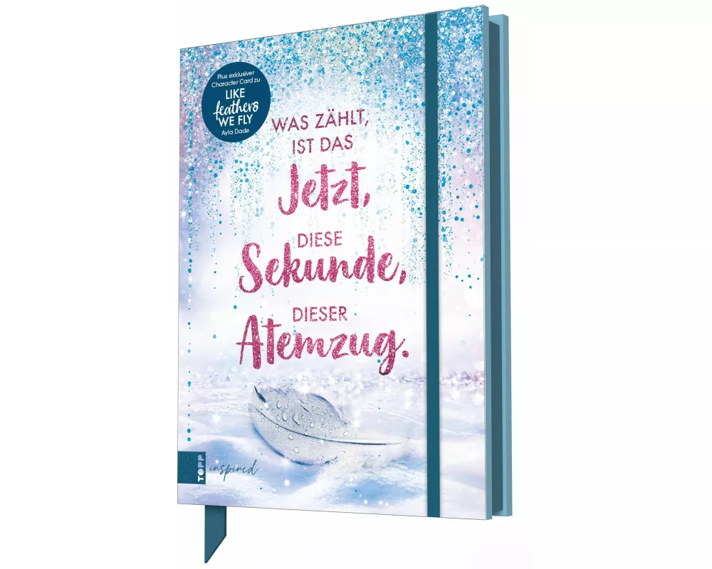 Ayla Dade: Winter Dreams. Das Journal