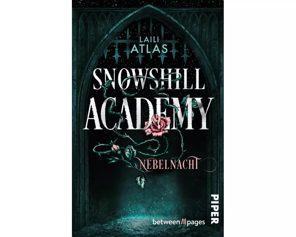Snowshill Academy – Nebelnacht