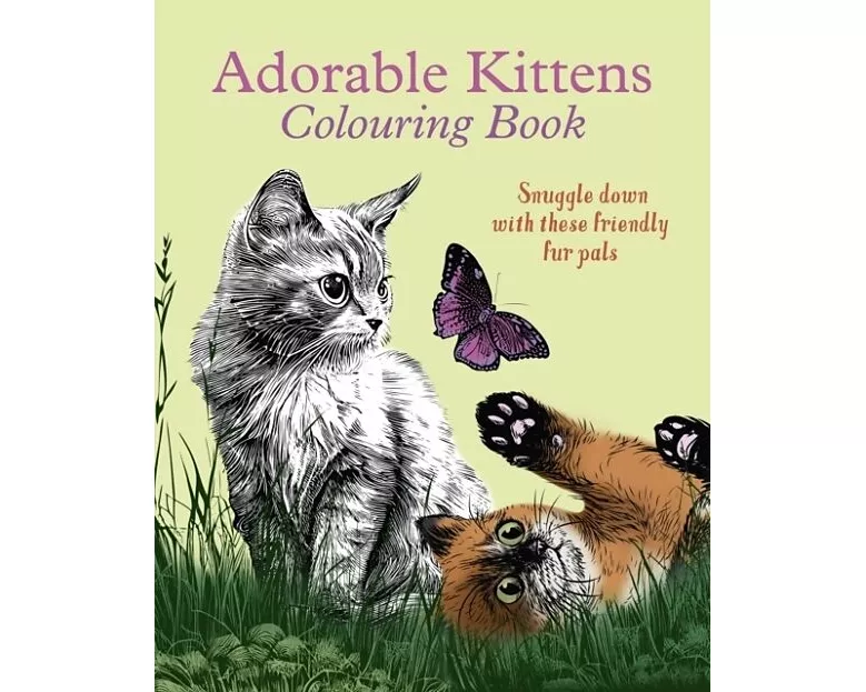 Adorable Kittens Colouring Book