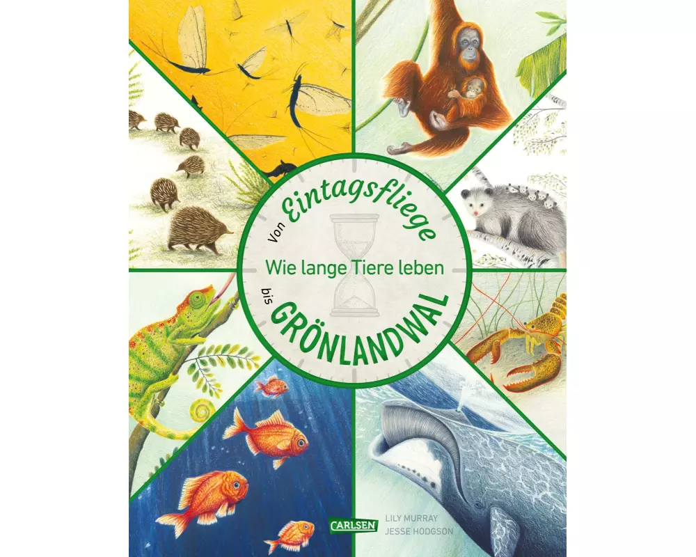 Von Eintagsfliege bis Grönlandwal