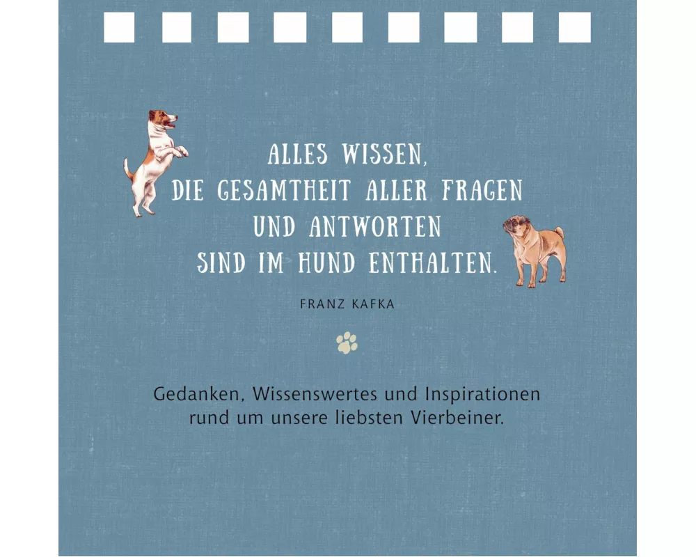 Tierisch beste Freunde