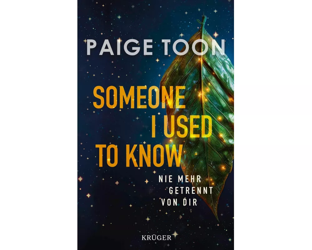 Someone I Used to Know