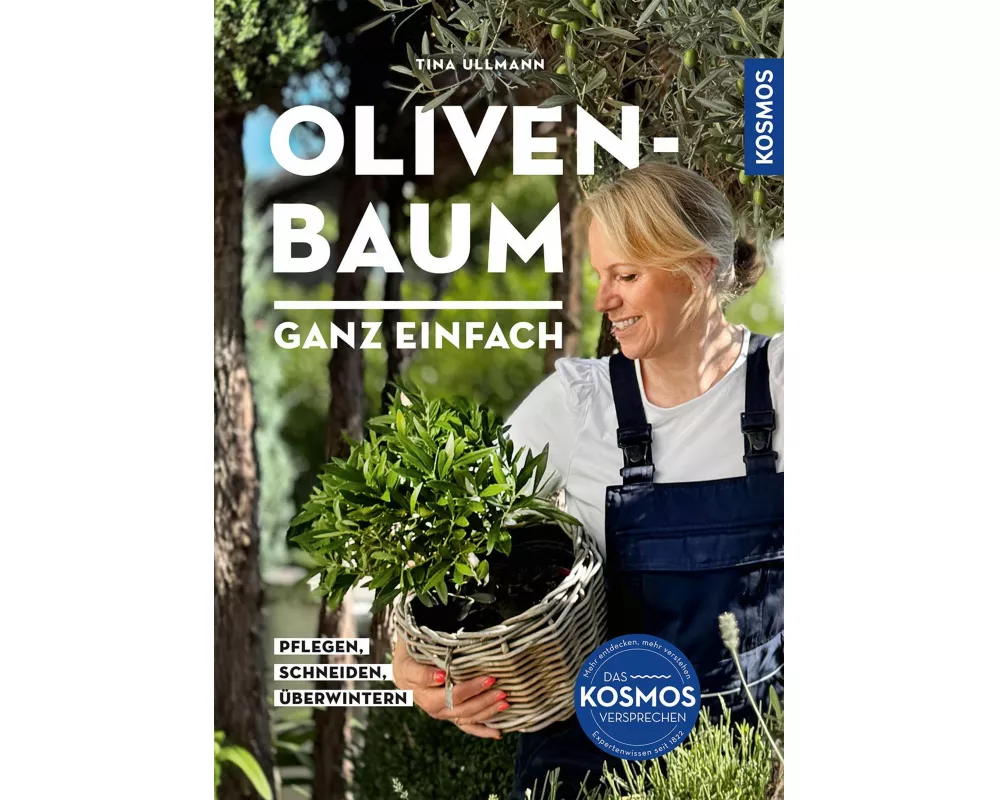 Olivenbaum ganz einfach
