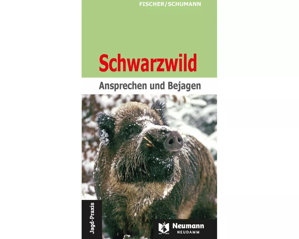 Schwarzwild