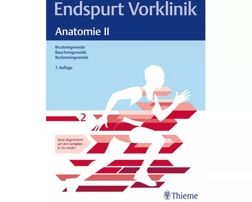 Endspurt Vorklinik: Anatomie II