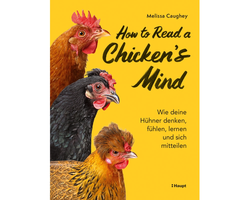 How to Read a Chicken's Mind