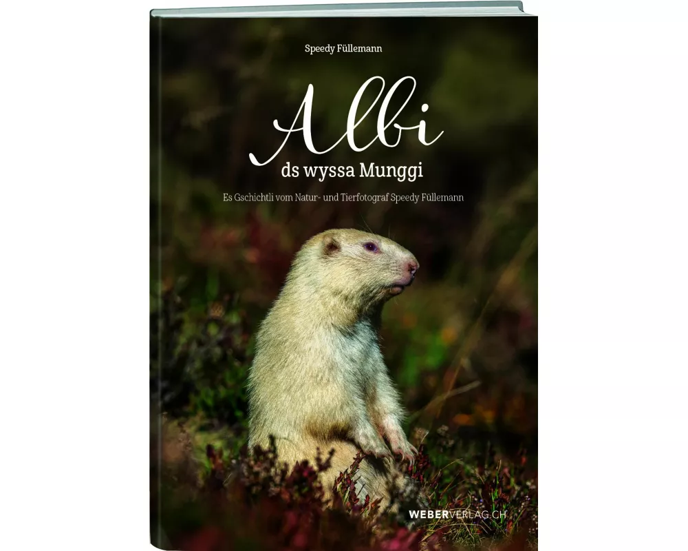 Albi ds wyssa Munggi