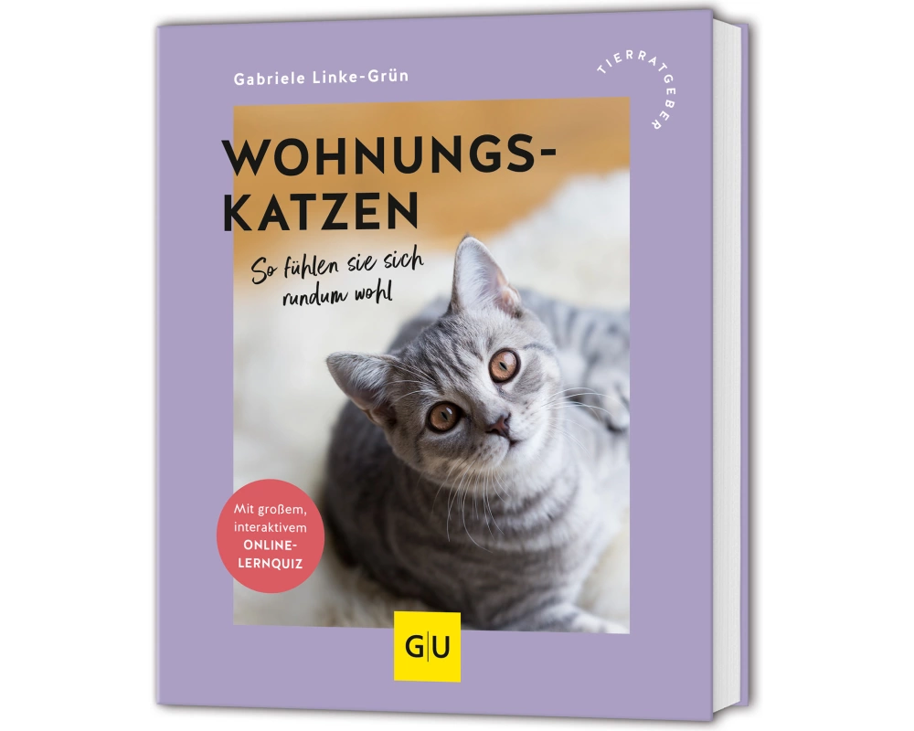 Wohnungskatzen