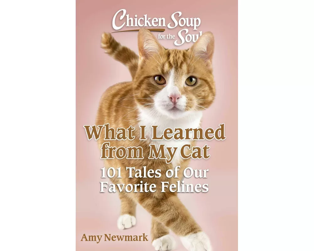Chicken Soup for the Soul: What I Learned from My Cat