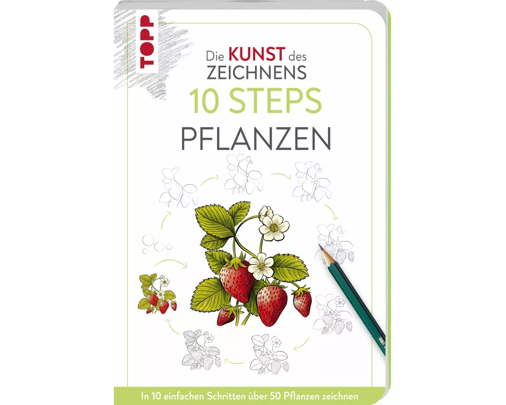 Die Kunst des Zeichnens 10 Steps - Pflanzen
