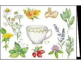 Doppelkarte / Tee und Kräuter / Quer / blanko
