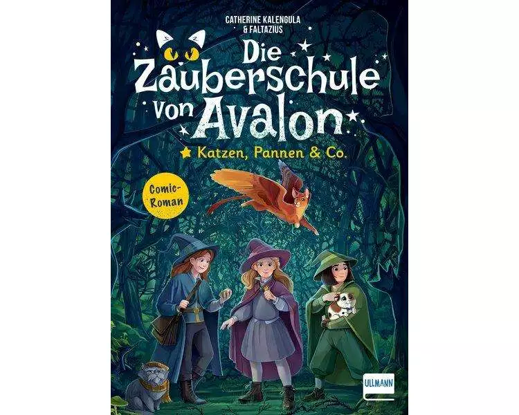 Die Zauberschule von Avalon – Katzen, Pannen & Co
