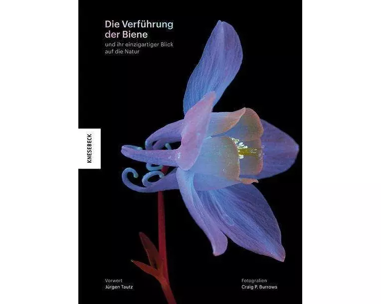 Die Verführung der Biene