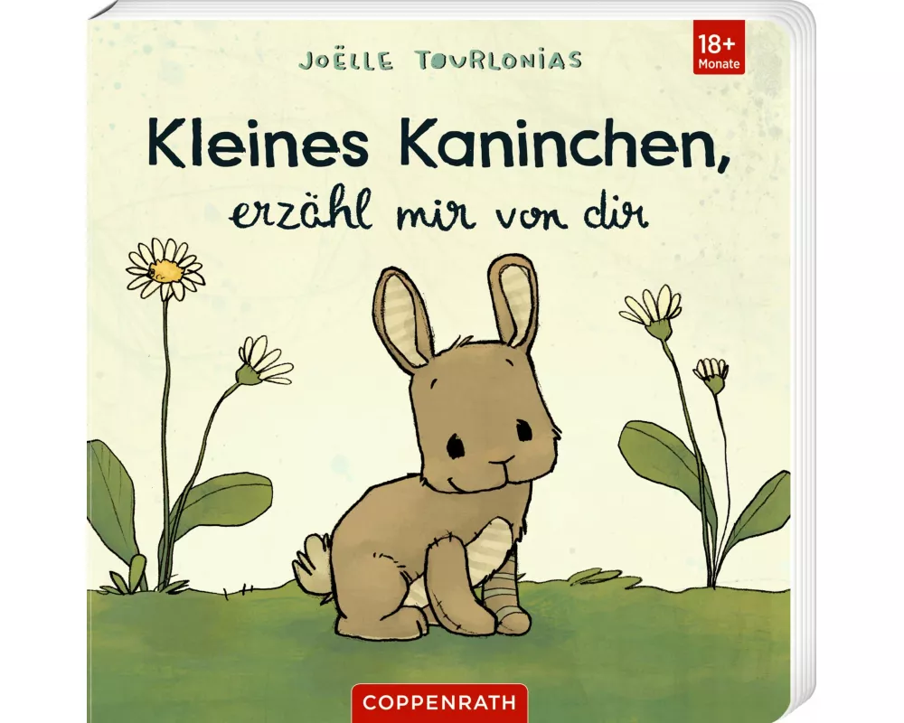 Kleines Kaninchen, erzähl mir von dir