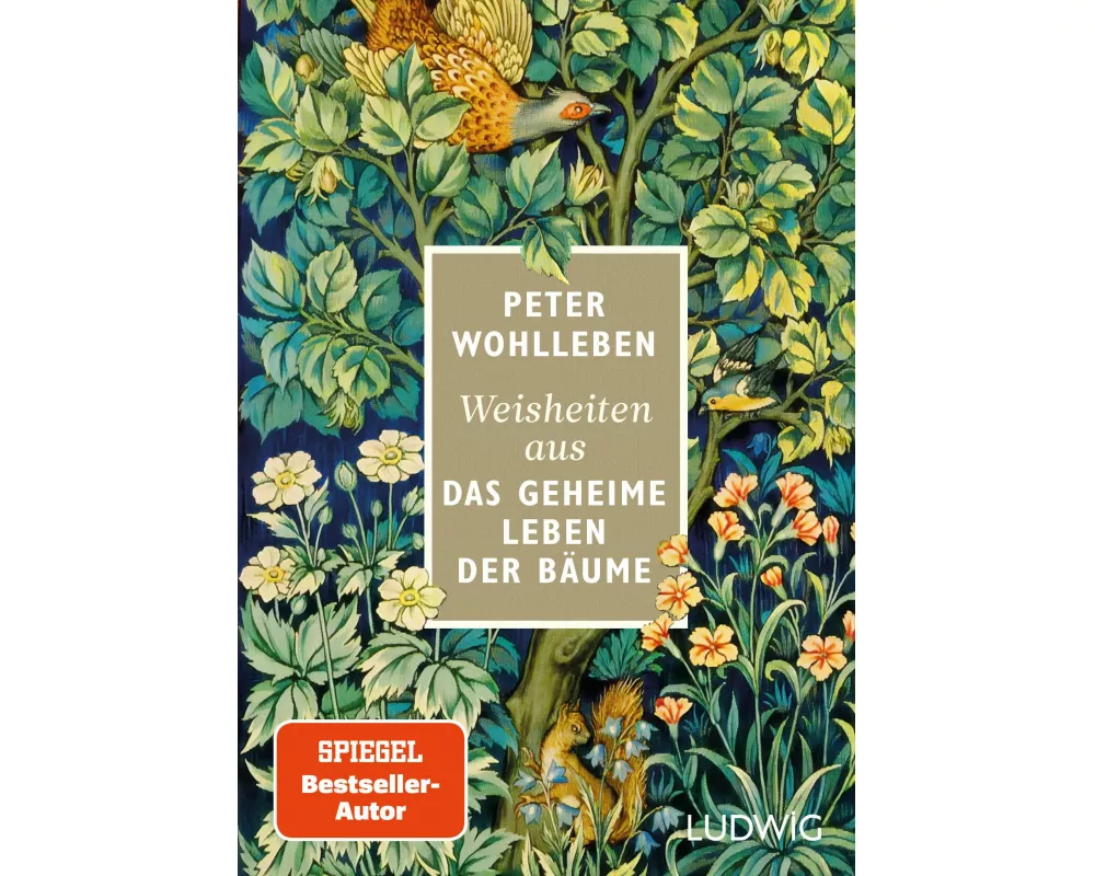 Weisheiten aus »Das geheime Leben der Bäume«
