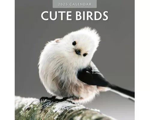 Cute Birds 2025 Square Wall Calendar