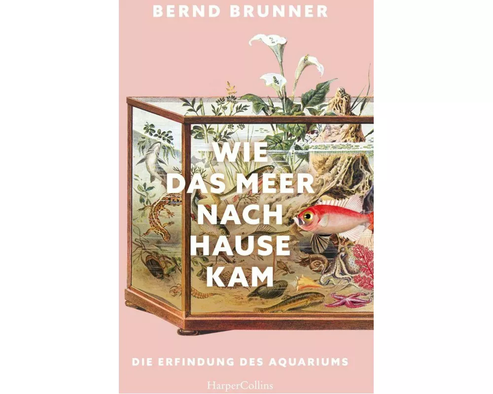 Wie das Meer nach Hause kam. Die Erfindung des Aquariums