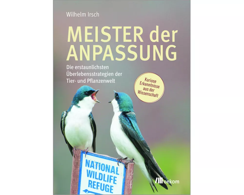 Meister der Anpassung