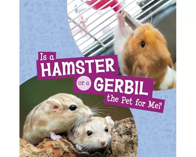 Is a Hamster or a Gerbil the Pet for Me?
