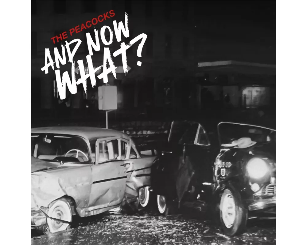 And Now What?(Digisleeve)