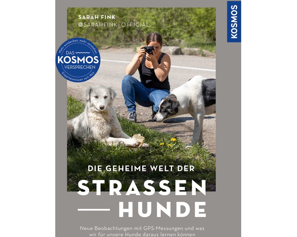 Die geheime Welt der Straßenhunde