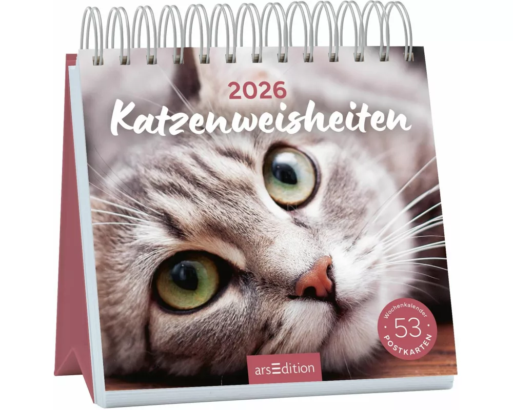 Postkartenkalender Katzenweisheiten 2026