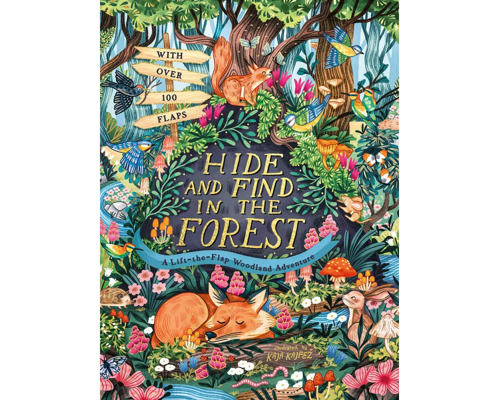 Hide and Find in the Forest: A Lift-the-Flap Woodland Adventure