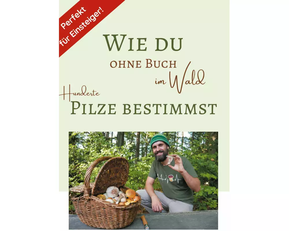 Wie du ohne Buch im Wald Hunderte Pilze bestimmst