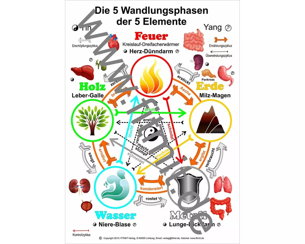 Die 5 Wandlungsphasen der 5 Elemente