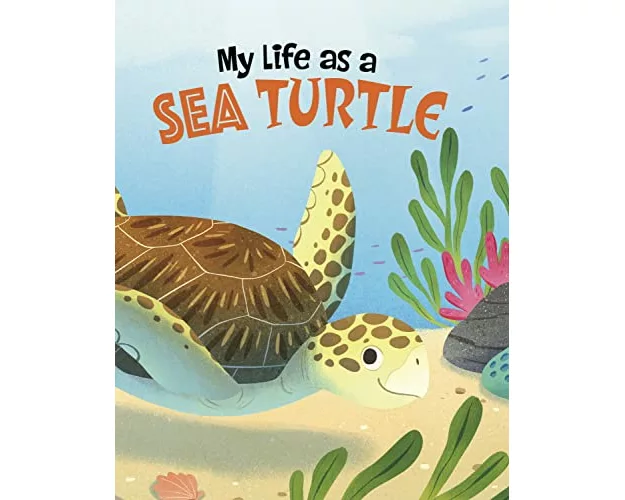 My Life as a Sea Turtle