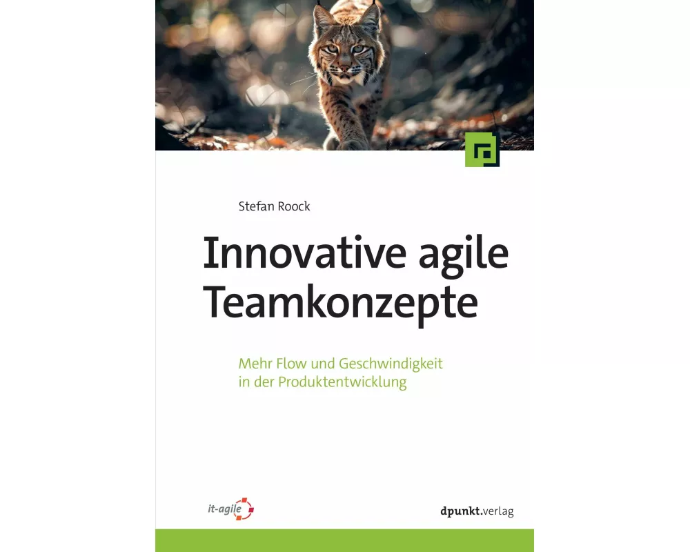 Innovative agile Teamkonzepte
